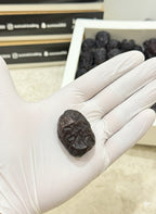 Ajwa Al Madinah (4 Boxes)